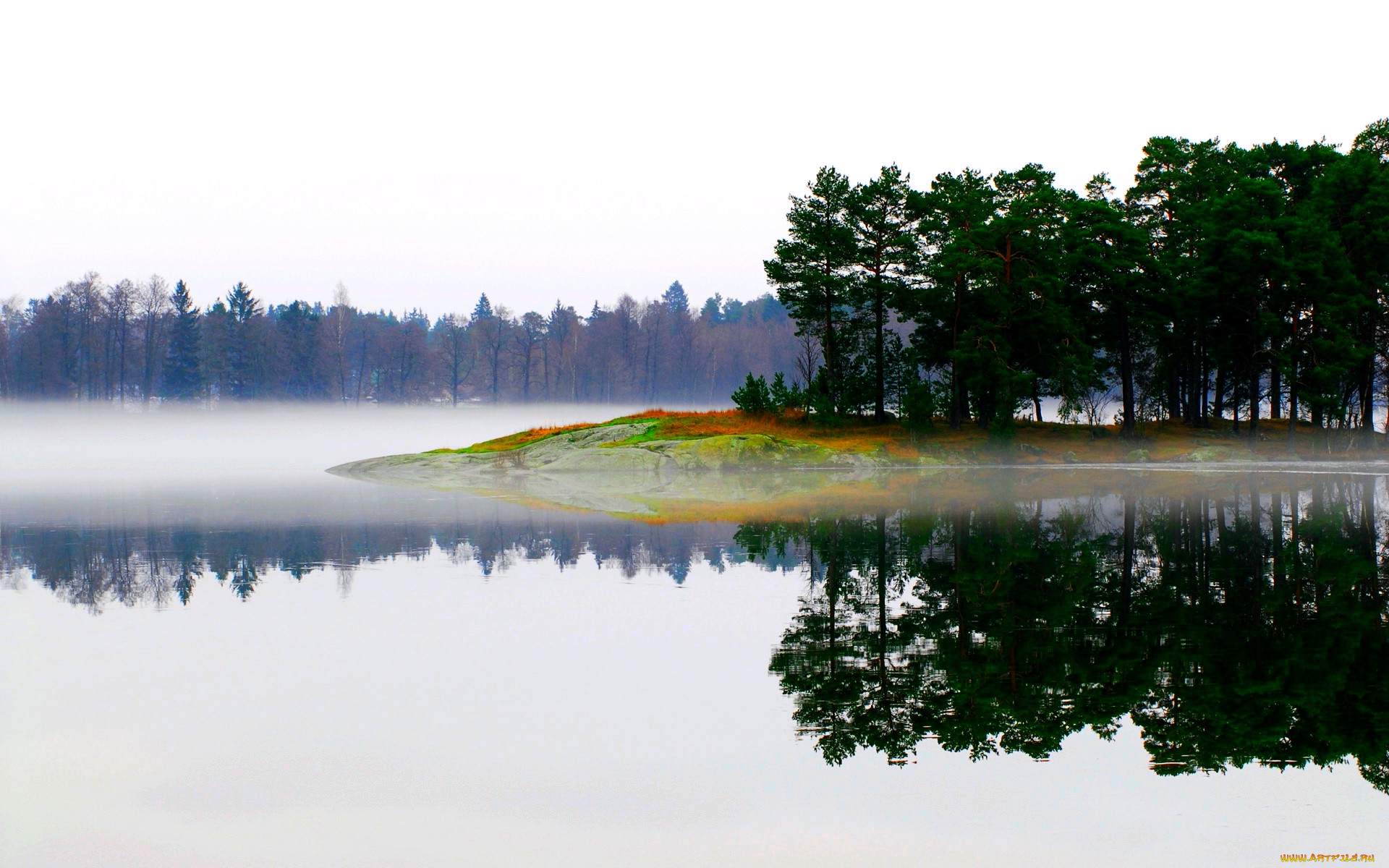 lake, in, fog, , , , , , 